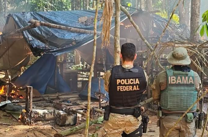 PF e Ibama combatem garimpo ilegal em terra indígena em Mato Grosso e Rondônia