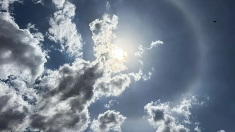 Beleza nos céus, halo solar não é sinal de chuva, diz especialista