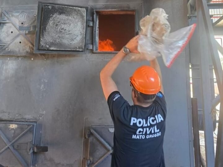 Polícia Civil incinera 102 quilos de drogas apreendidas em Santo Antônio do Leverger