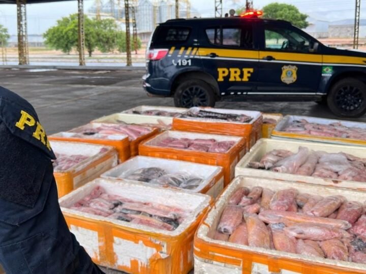 PRF apreende mais de uma tonelada de pescado irregular em bagageiro de ônibus em MT