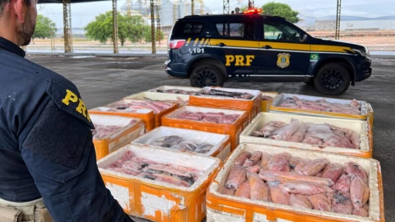 PRF apreende mais de uma tonelada de pescado irregular em bagageiro de ônibus em MT