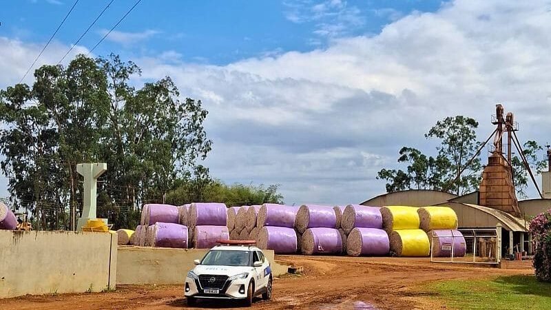 ‘Gigante do algodão’ e fábrica de ração são flagradas pela polícia furtando energia elétrica em MT
