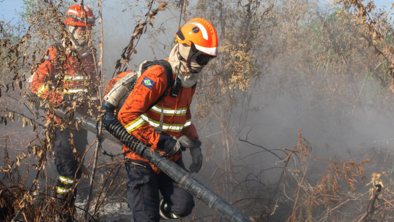 Mato Grosso registra queda de 60% nos focos de calor em 2026