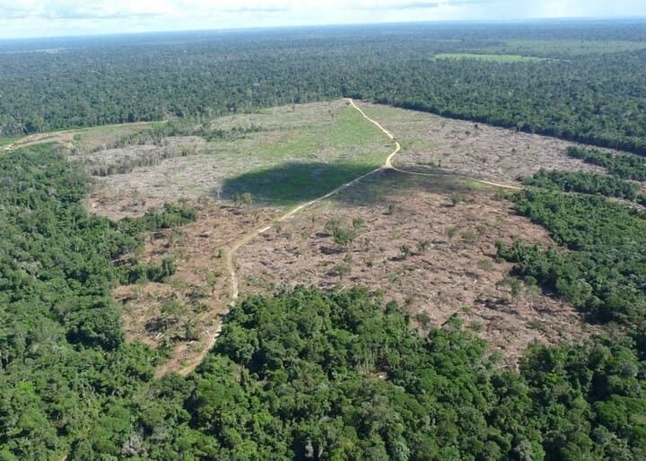Fazendeiro é condenado por degradação na Terra Indígena Marãiwatséd, em Mato Grosso