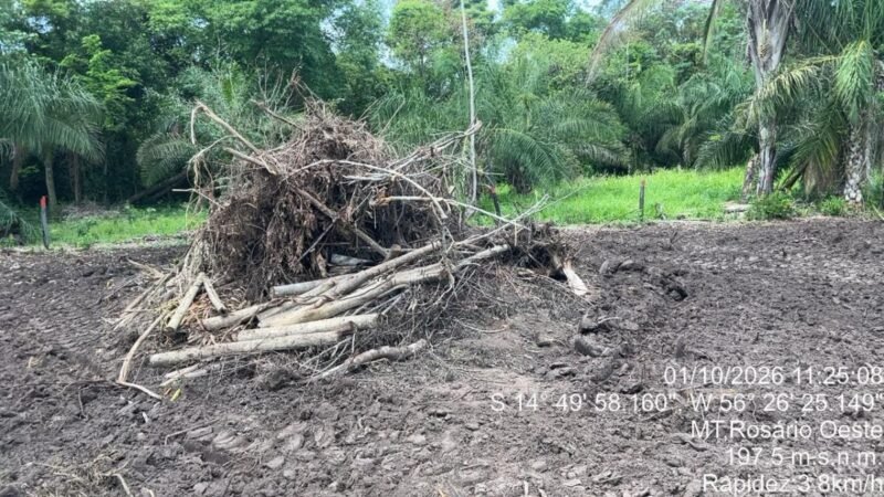 Polícia Ambiental identifica nova área desmatada com uso de maquinário em zona rural de MT