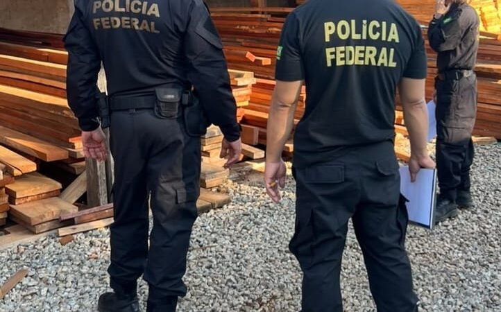 PF derruba esquema nacional de comércio ilegal de madeira após apreensão de caminhão em MT