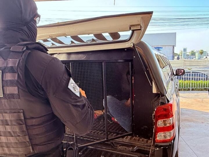 Investimentos e inteligência: Polícia Civil mira faccionados foragidos em outros Estados e países